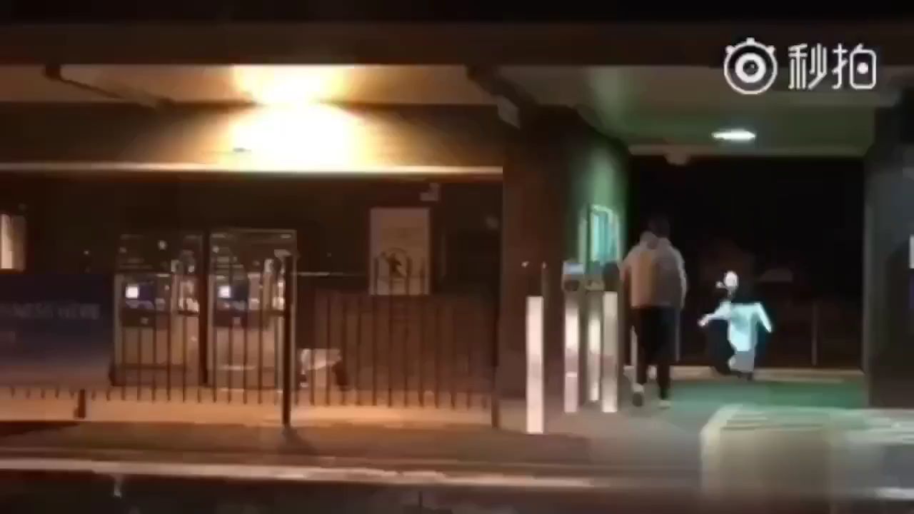 美国整人合集。
